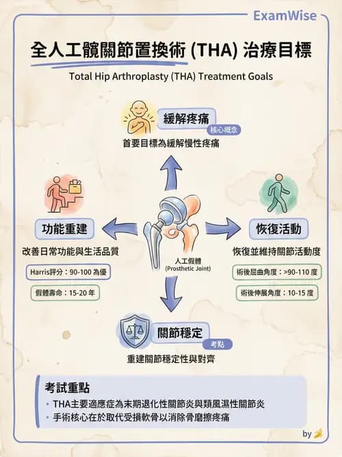 專師 - 髖關節疾病與手術 - AI 圖文解析預覽