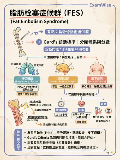 專師 - 骨折併發症與骨腫瘤 - AI 圖文解析預覽