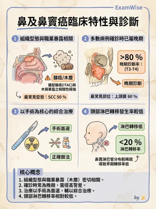 專師 - 頭頸腫瘤與甲狀腺 - AI 圖文解析預覽