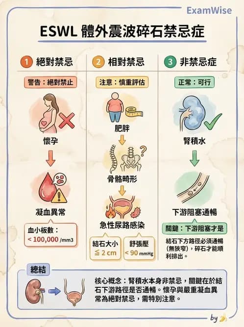 專師 - 泌尿道結石 - AI 圖文解析預覽