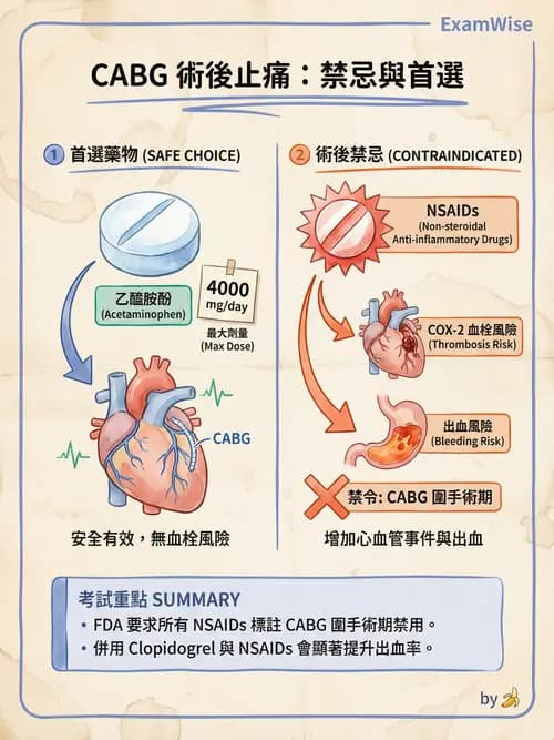 專師 - 心臟外科與介入 - AI 圖文解析預覽