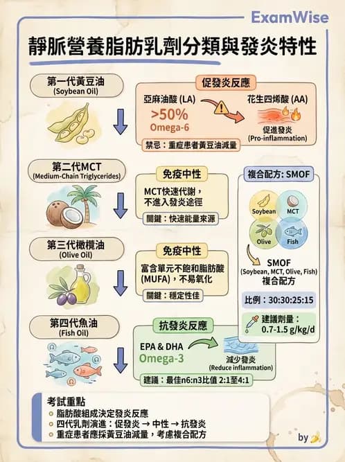 營養 - 營養支持 - AI 圖文解析預覽