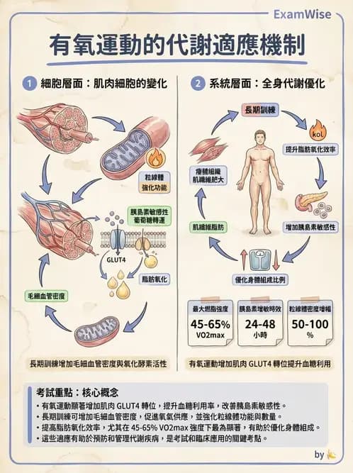 營養 - 體重管理與攝食異常 - AI 圖文解析預覽