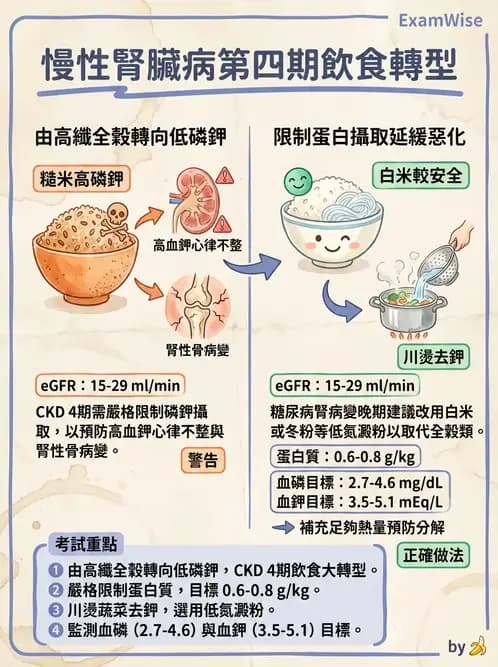 營養 - 腎臟疾病飲食治療 - AI 圖文解析預覽