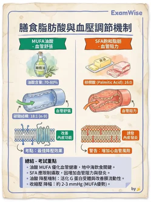 營養 - 高血壓與心血管保護飲食 - AI 圖文解析預覽