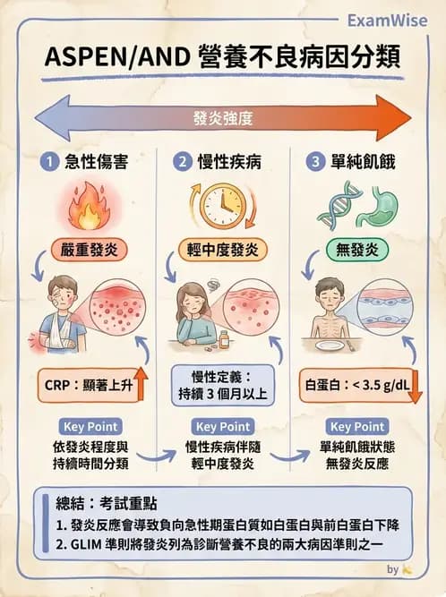 營養 - 營養評估與照護程序 - AI 圖文解析預覽