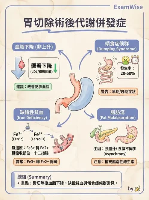 營養 - 燒燙傷與外傷重症營養 - AI 圖文解析預覽