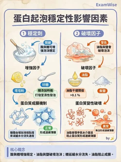 營養 - 動植物性食材製備原理 - AI 圖文解析預覽