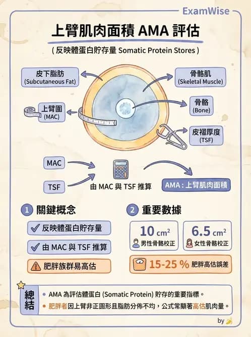 營養 - 體位評估 - AI 圖文解析預覽