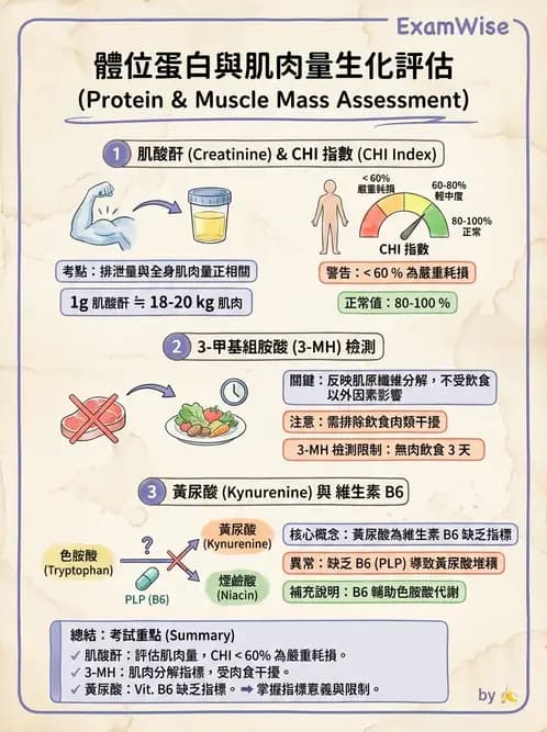 營養 - 生化指標與營養缺乏 - AI 圖文解析預覽