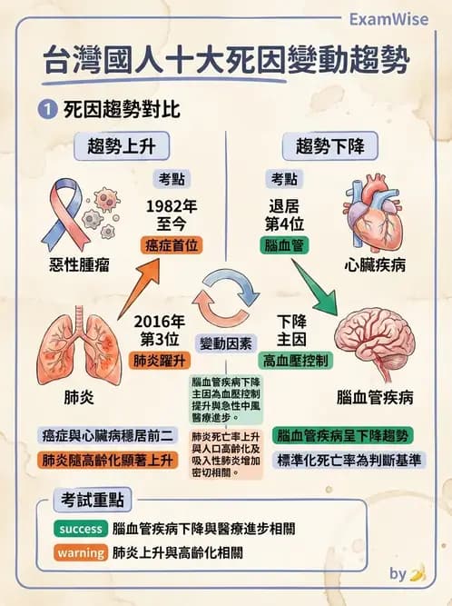 營養 - 國民營養現況與慢性病趨勢 - AI 圖文解析預覽