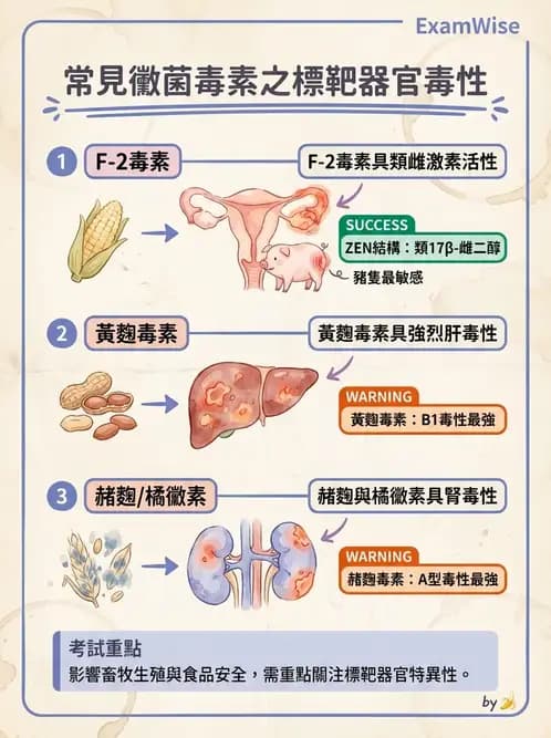 營養 - 天然毒素 - AI 圖文解析預覽