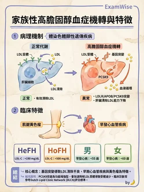 營養 - 脂質代謝 - AI 圖文解析預覽
