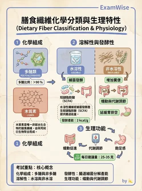 營養 - 醣類結構與膳食纖維 - AI 圖文解析預覽