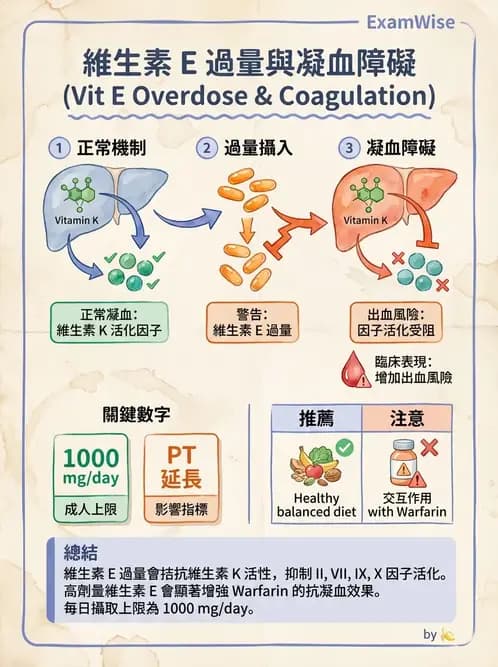 營養 - 維生素E - AI 圖文解析預覽