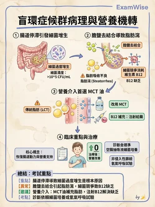 營養 - 腸胃道疾病 - AI 圖文解析預覽