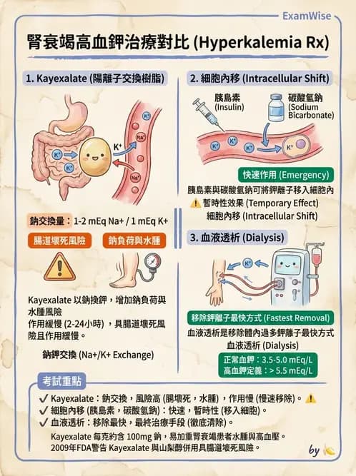 營養 - 透析治療飲食管理 - AI 圖文解析預覽
