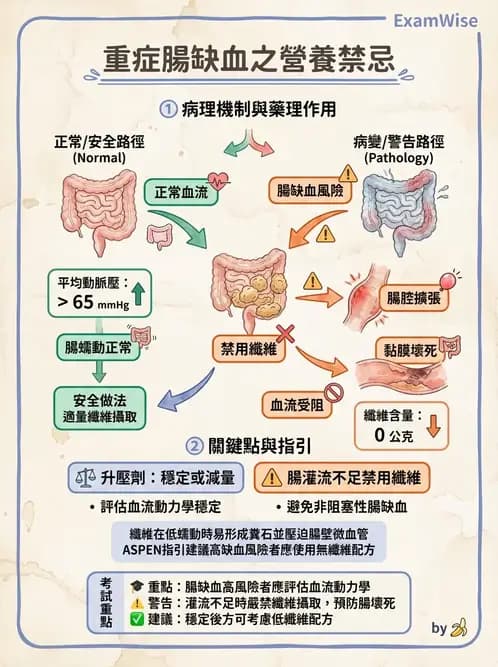 營養 - 重症一般營養照護 - AI 圖文解析預覽