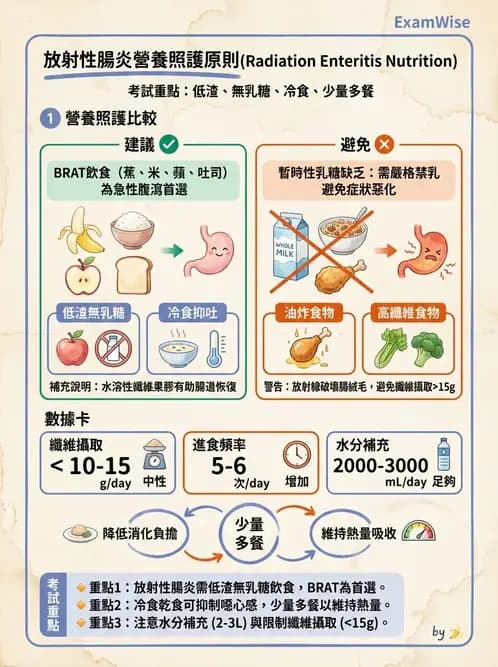 營養 - 癌症營養 - AI 圖文解析預覽