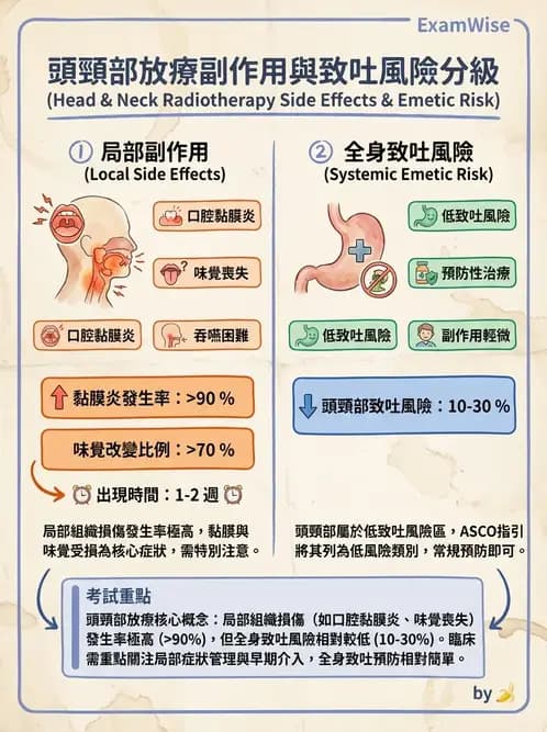 營養 - 癌症營養 - AI 圖文解析預覽