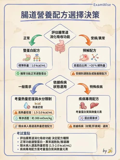營養 - 營養支持 - AI 圖文解析預覽