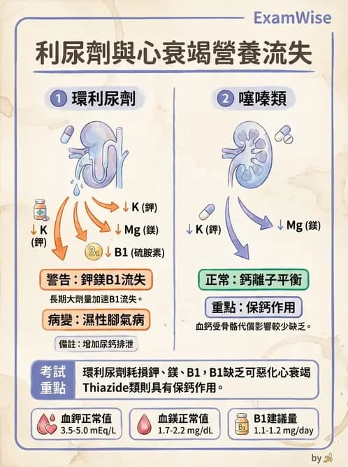 營養 - 心臟衰竭、移植與血脂管理 - AI 圖文解析預覽