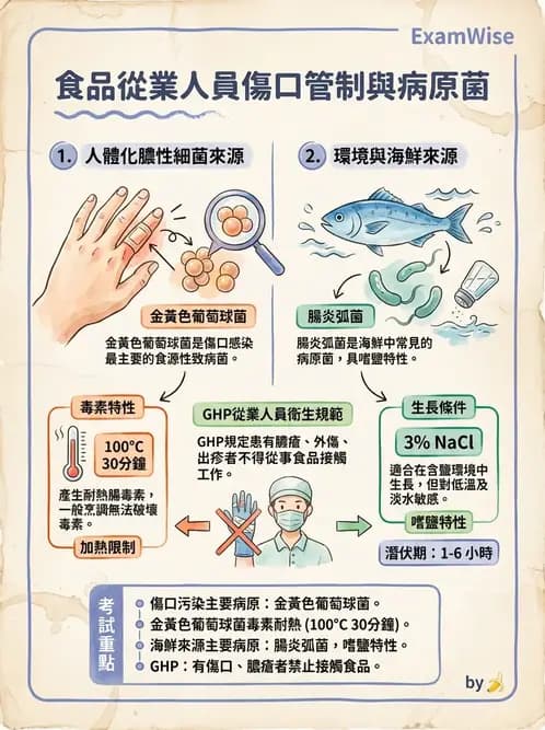 營養 - 食品安全衛生管理 - AI 圖文解析預覽