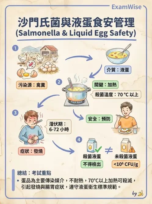 營養 - 食品安全衛生管理 - AI 圖文解析預覽