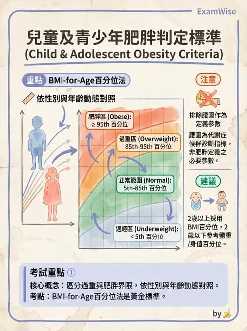 營養 - 體位評估 - AI 圖文解析預覽