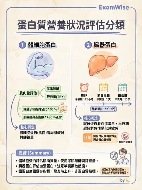 營養 - 生化指標與營養缺乏 - AI 圖文解析預覽