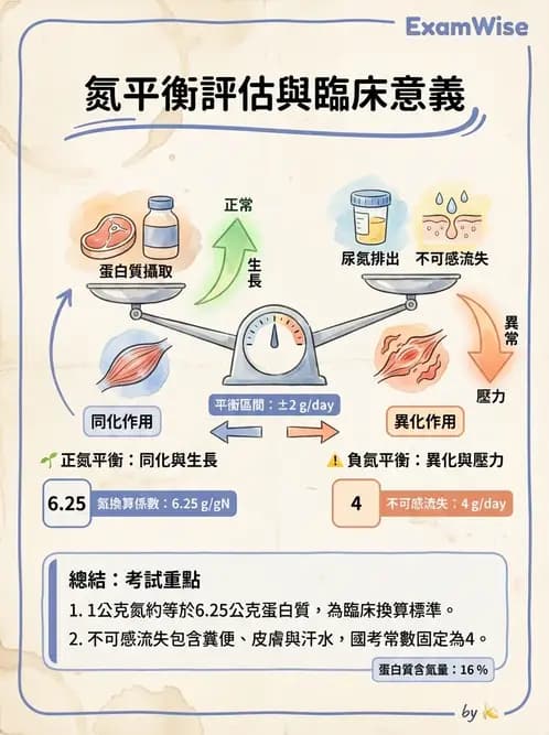營養 - 生化指標與營養缺乏 - AI 圖文解析預覽