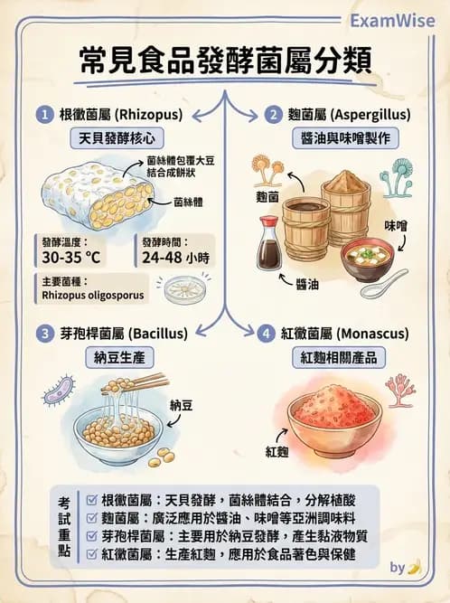 營養 - 食品腐敗微生物學 - AI 圖文解析預覽