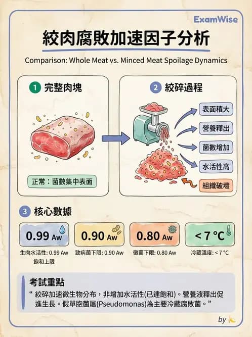 營養 - 食品腐敗微生物學 - AI 圖文解析預覽