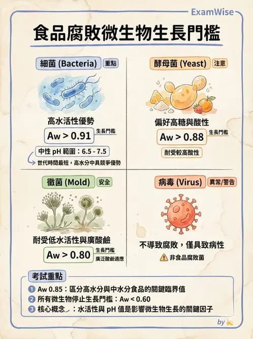 營養 - 食品腐敗微生物學 - AI 圖文解析預覽