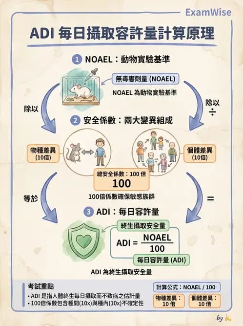 營養 - 食品安全性評估 - AI 圖文解析預覽
