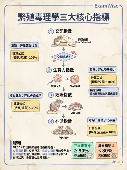 營養 - 食品安全性評估 - AI 圖文解析預覽
