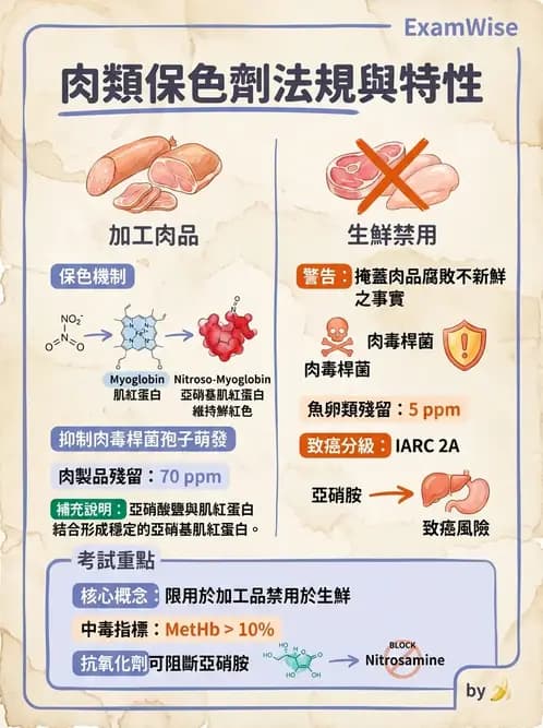 營養 - 食品添加物 - AI 圖文解析預覽