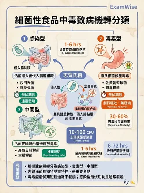 營養 - 食源性病原微生物 - AI 圖文解析預覽