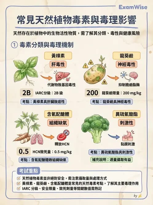 營養 - 天然毒素 - AI 圖文解析預覽