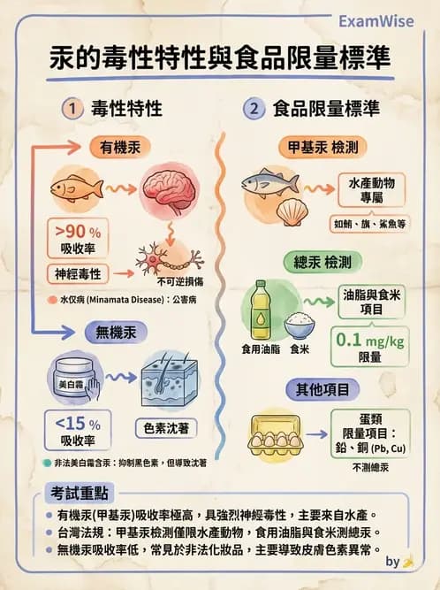 營養 - 化學性危害 - AI 圖文解析預覽