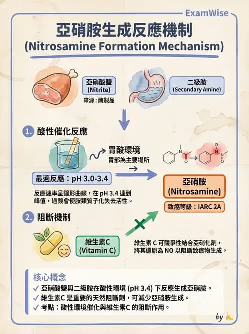 營養 - 化學性危害 - AI 圖文解析預覽