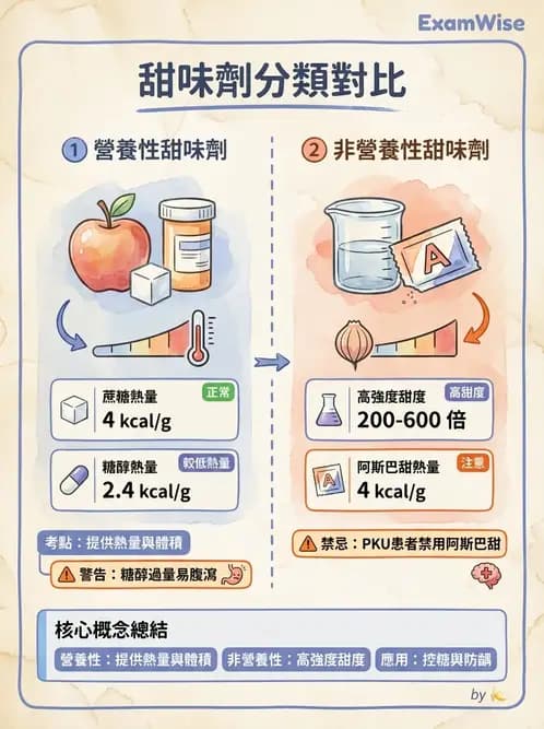 營養 - 糖尿病與代謝症候群 - AI 圖文解析預覽