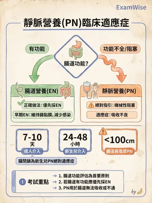 營養 - 營養支持 - AI 圖文解析預覽