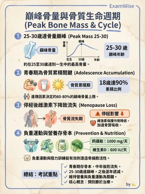 營養 - 骨骼與關節疾病 - AI 圖文解析預覽