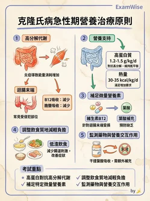 營養 - 腸胃道疾病 - AI 圖文解析預覽