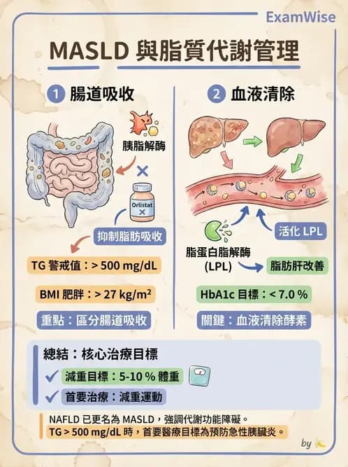 營養 - 肝膽疾病 - AI 圖文解析預覽