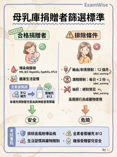 營養 - 母嬰與兒童營養政策 - AI 圖文解析預覽