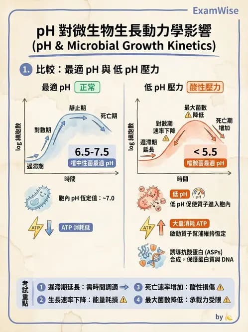 營養 - 食品腐敗微生物學 - AI 圖文解析預覽