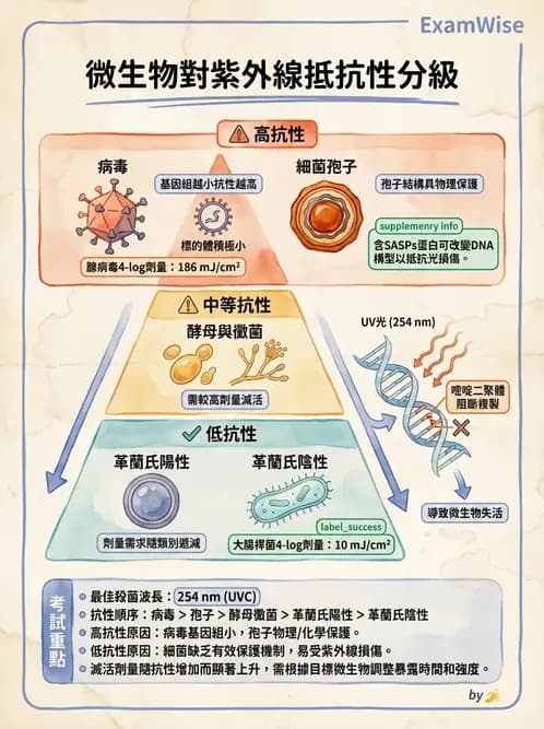 營養 - 食品腐敗微生物學 - AI 圖文解析預覽