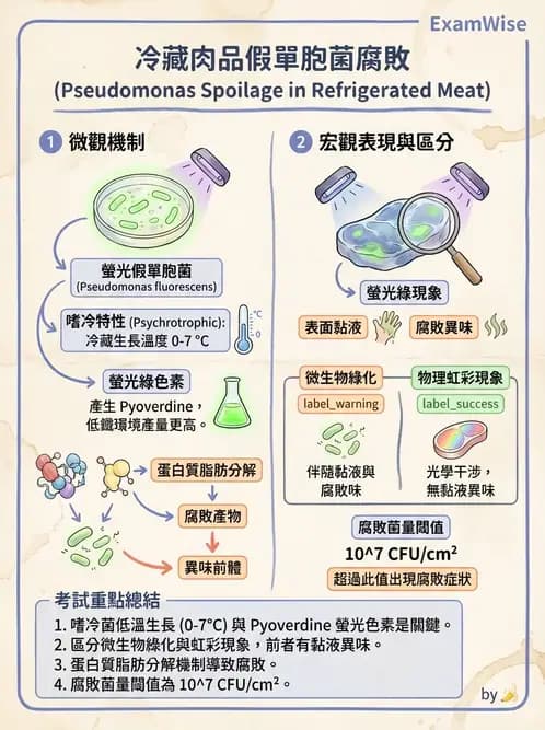營養 - 食品腐敗微生物學 - AI 圖文解析預覽
